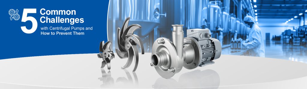 5 Common Challenges with Centrifugal Pumps