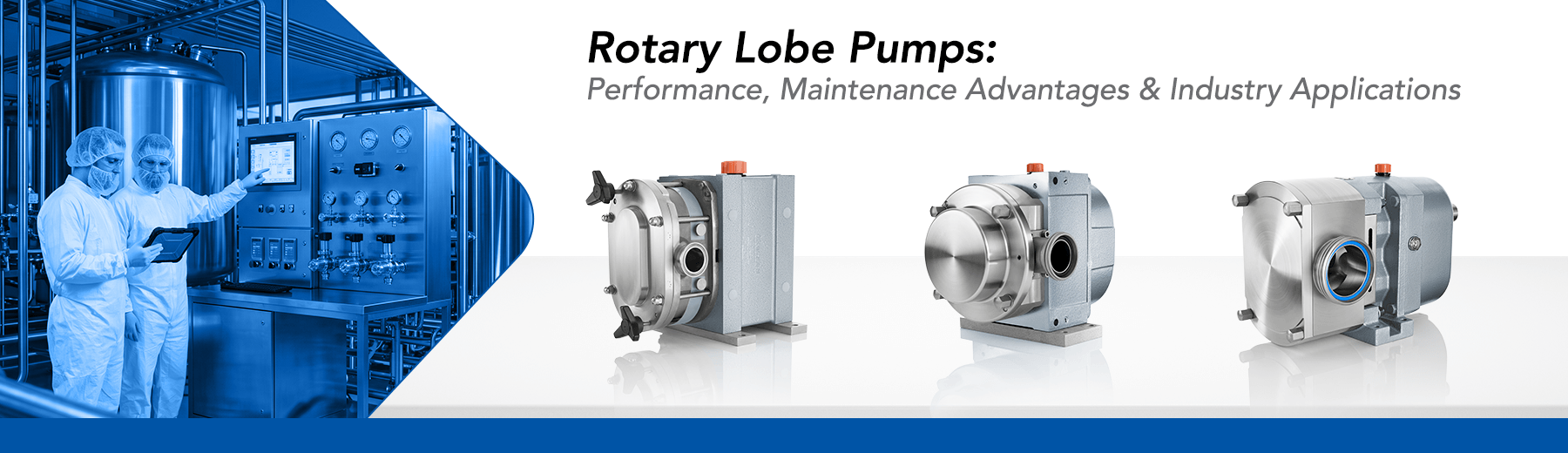 Rotary Lobe Pumps: Performance, Maintenance Advantages and Industry Applications