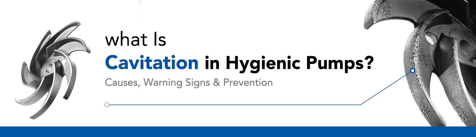 What Is Cavitation in Hygienic Pumps? Causes, Warning Signs & Prevention