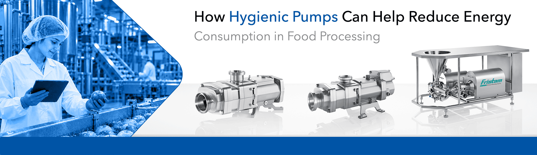 How Hygienic Pumps Can Help Reduce Energy Consumption in Food Processing